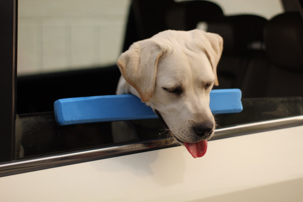Paw Ride Pillow (Car-window neck rest for pets)