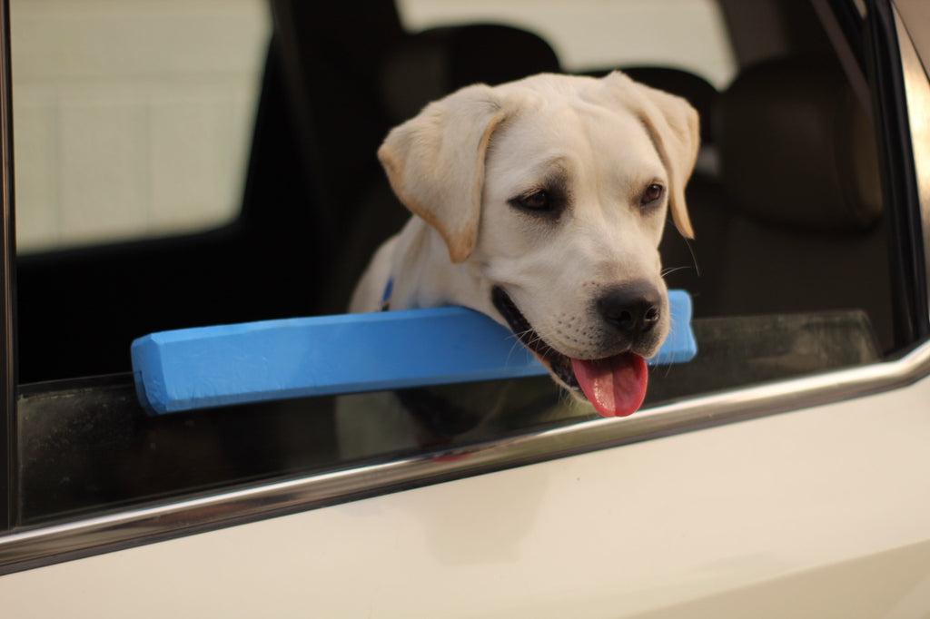 Paw Ride Pillow (Car-window neck rest for pets)