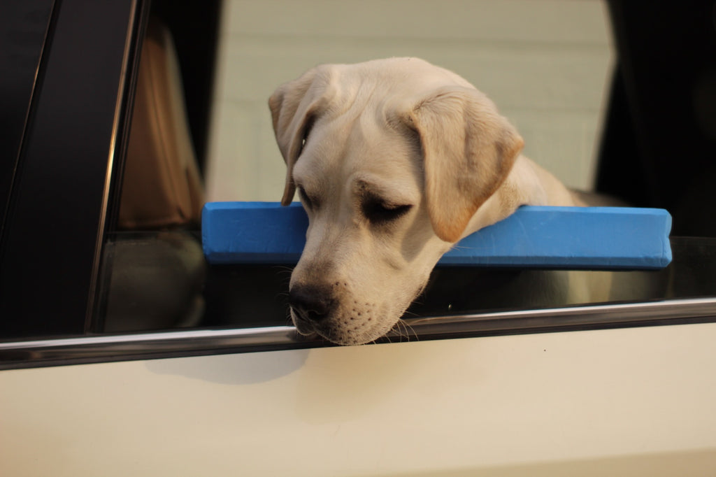 Paw Ride Pillow (Car-window neck rest for pets)
